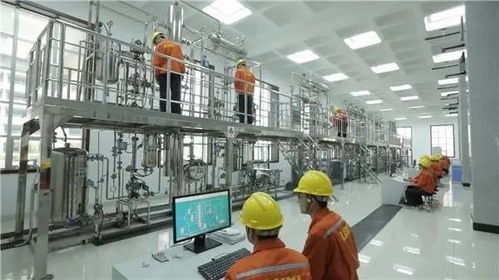 鲁西集团 建设化工实训基地,推动企业高质量发展