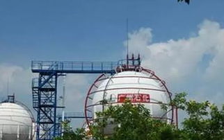 隶属山东地炼 三桶油 中化...这29家炼化厂你都知道