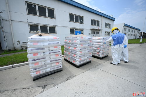 上海 金山海关多举措推动化工企业复工复产
